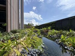 Pasir Ris 8 (D18), Apartment #605461061